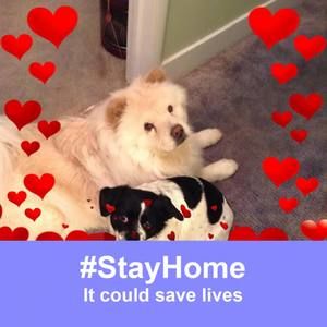 Meet your Posher, Eileen